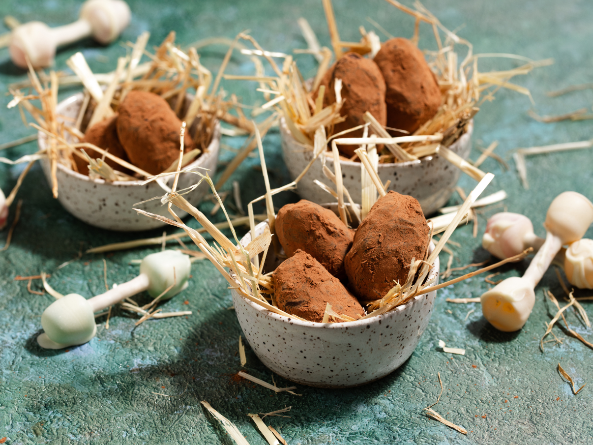 Bake & Explore 3 Kit Bundle